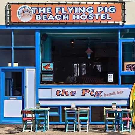 The Flying Pig Beach Hostel Age 18 To 40-2