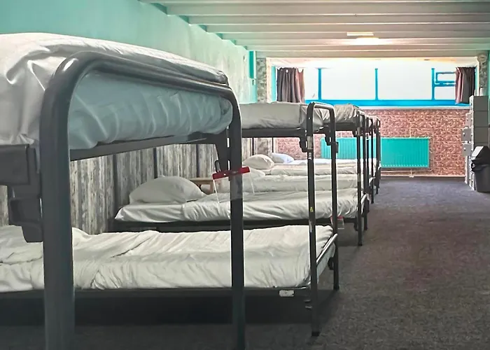 Hôtel accueillant les animaux: The Flying Pig Beach Hostel Age 18 To 40